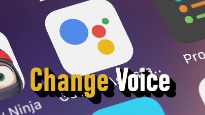 كيف تغير صوت مساعد جوجل؟ - صورة الأخبار على imei.info